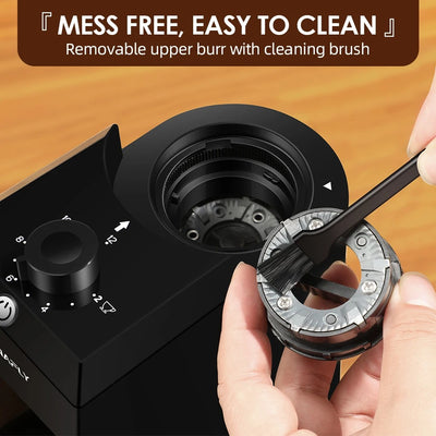electric burr grinder for coffee beans
