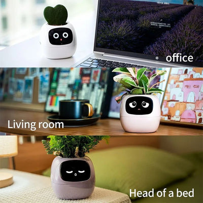 smart flower pot with face