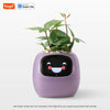 smart flower pot with face