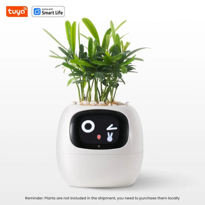 smart flower pot with face