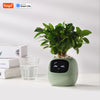 smart flower pot with face