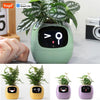 smart flower pot with face