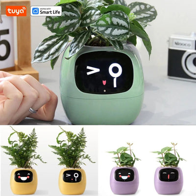 smart flower pot with face