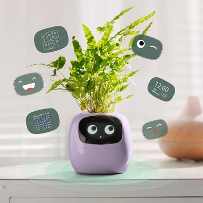 smart flower pot with face