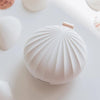 THE AROMATHERAPY SHELL