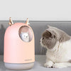 a cat sitting near the humidifier