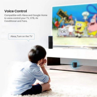 voice control function