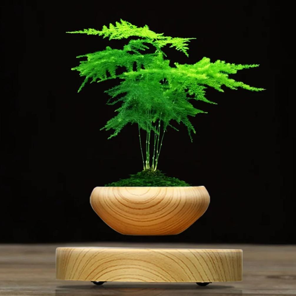 hover plant pot Levitating Plant Pot | Buy Now