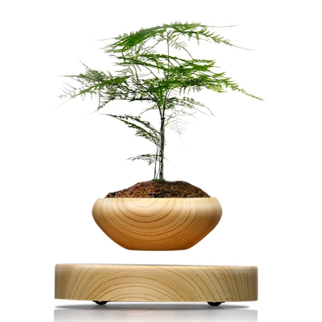 hover plant pot Levitating Plant Pot | Buy Now