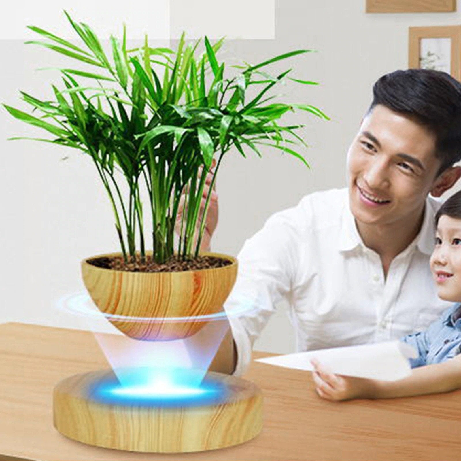 floating air plant pot Levitating Plant Pot | Buy Now