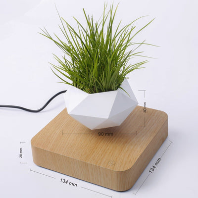 levitating plant pot