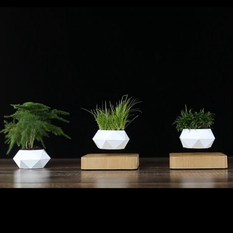 levitating plant pot uk The Levitating Plant Pot | Buy Now - 30% Off