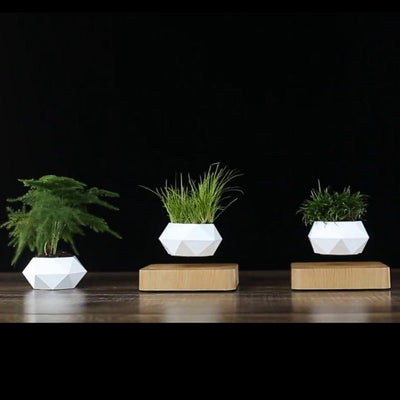 application of levitating plant pots