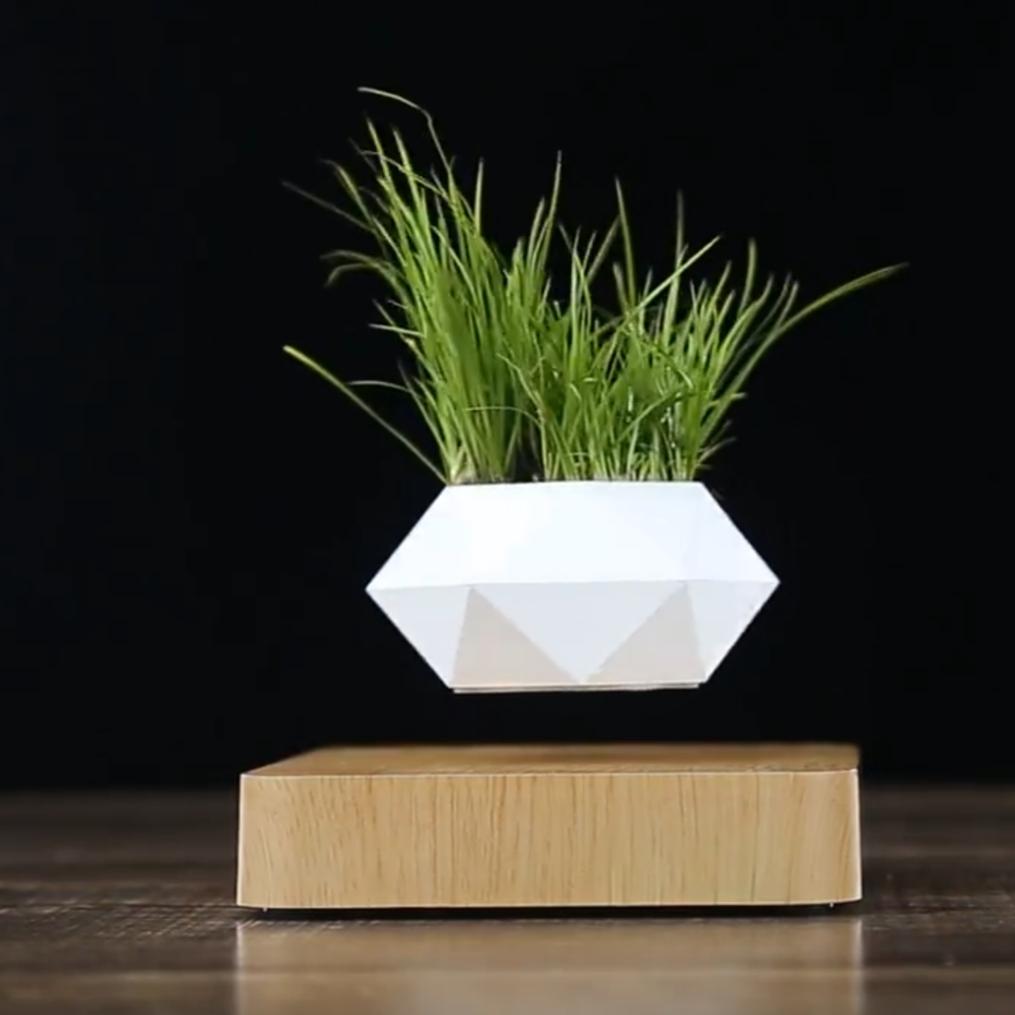 levitos plant pot Magnetic Floating Levitating Pot Plant – Rotating Air Bonsai Planter- 360° Levitating Planter- Modern Home & Office Décor Style 1
