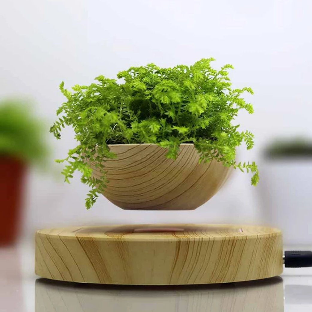 floating pot plants Levitating Plant Pot