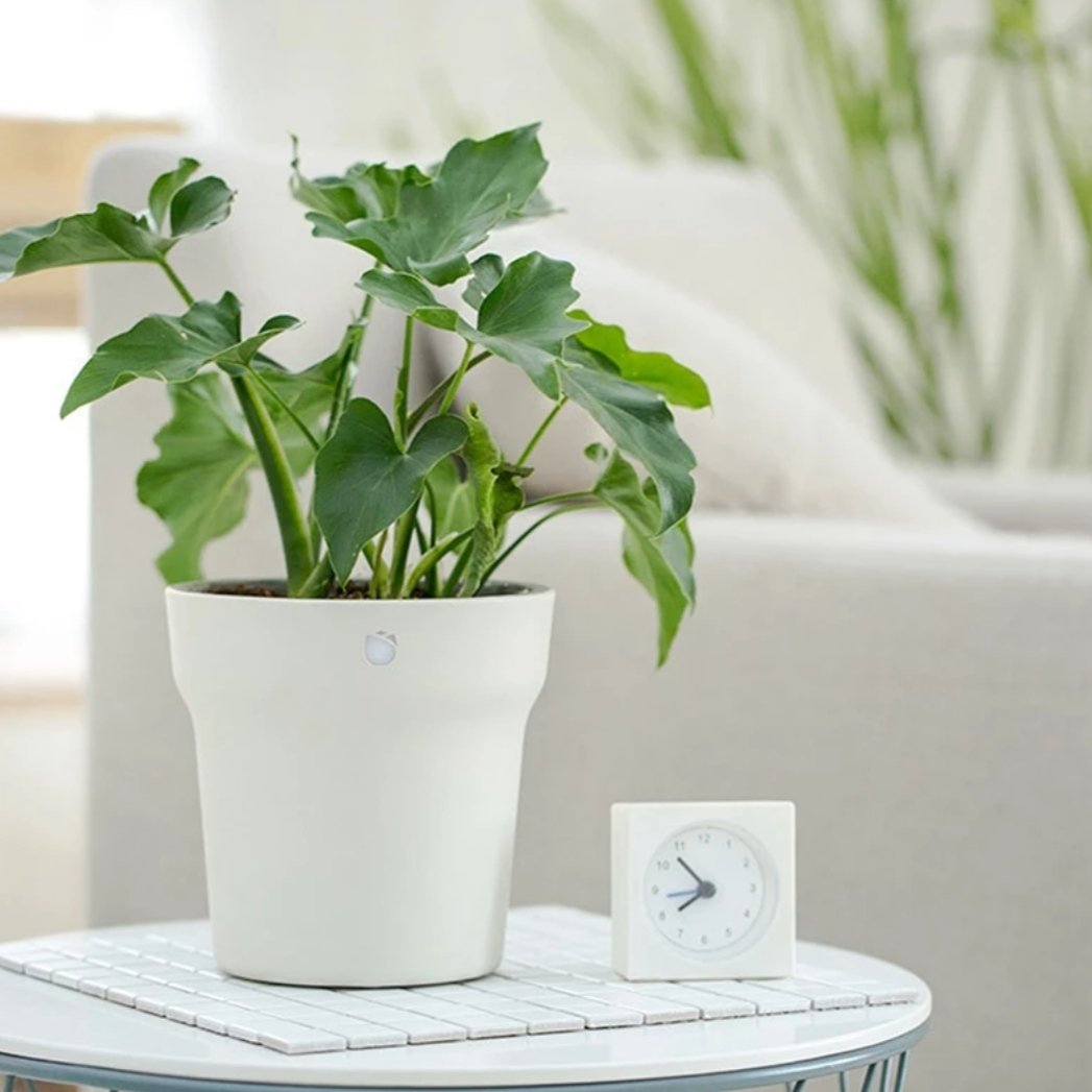 virtual plant pot Smart Pot for Plants